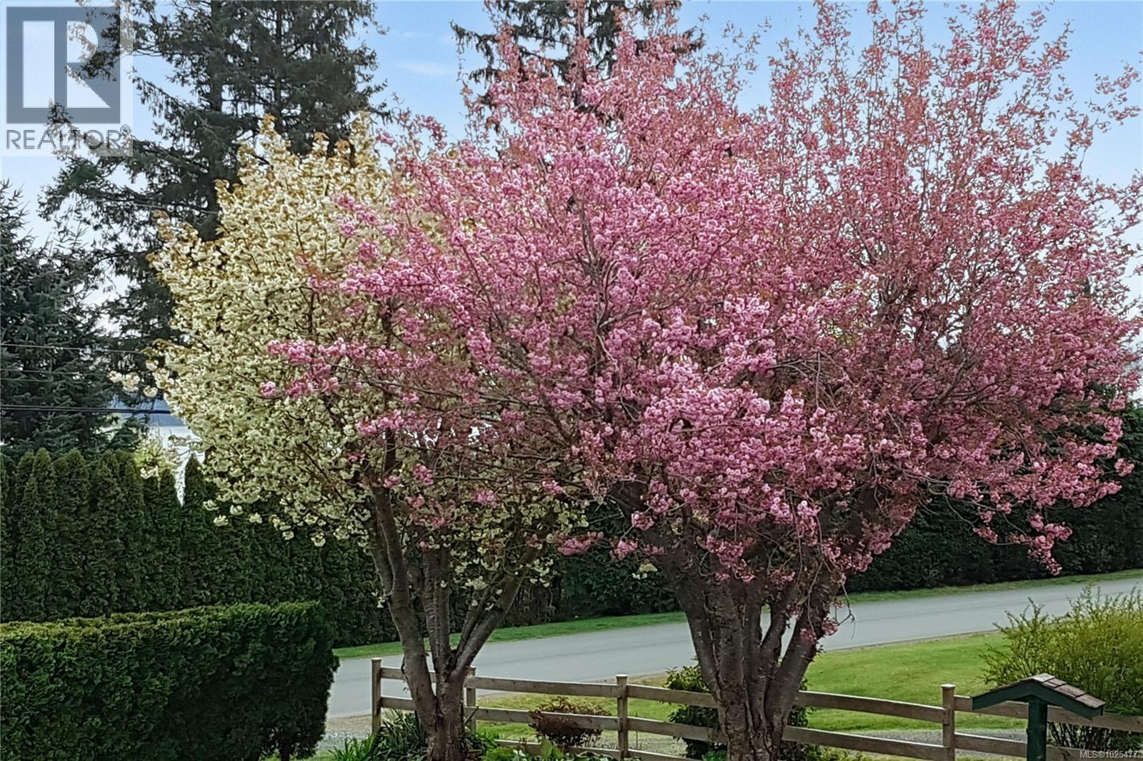 4054 Discovery Dr, Campbell River, British Columbia  V9W 4X7 - Photo 79 - 1025477