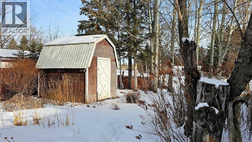 207 4 Street Nw, Sundre, Alberta  T0M 1X0 - Photo 8 - A2285141