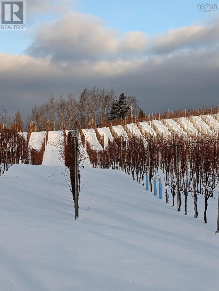 4113 Highway 340, Carleton, Nova Scotia  B5A 5N9 - Photo 24 - 202529196