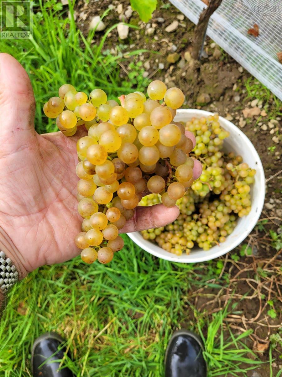 4113 Highway 340, Carleton, Nova Scotia  B5A 5N9 - Photo 26 - 202529196