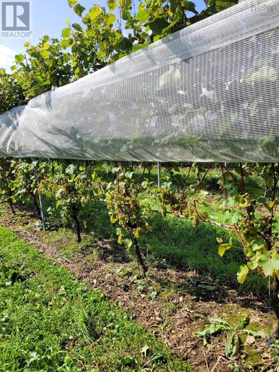 4113 Highway 340, Carleton, Nova Scotia  B5A 5N9 - Photo 27 - 202529196