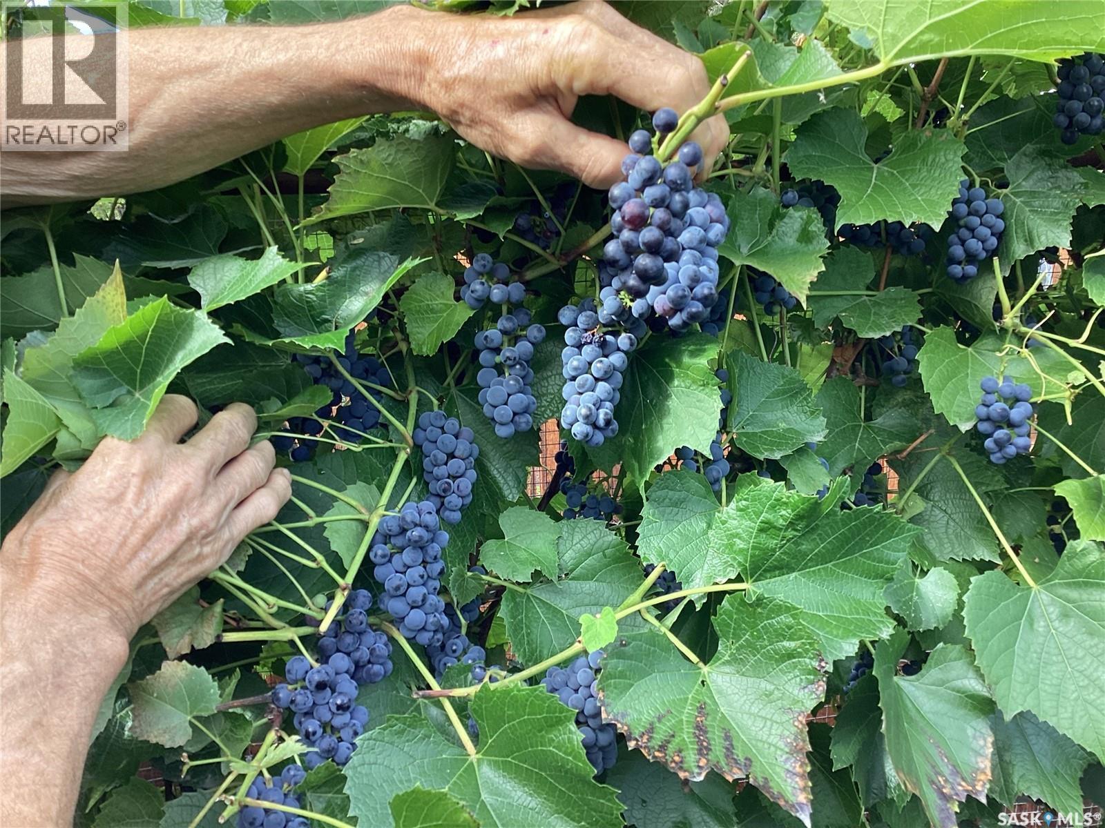 810 Main Street, Big River, Saskatchewan  S0J 0E0 - Photo 45 - SK027584