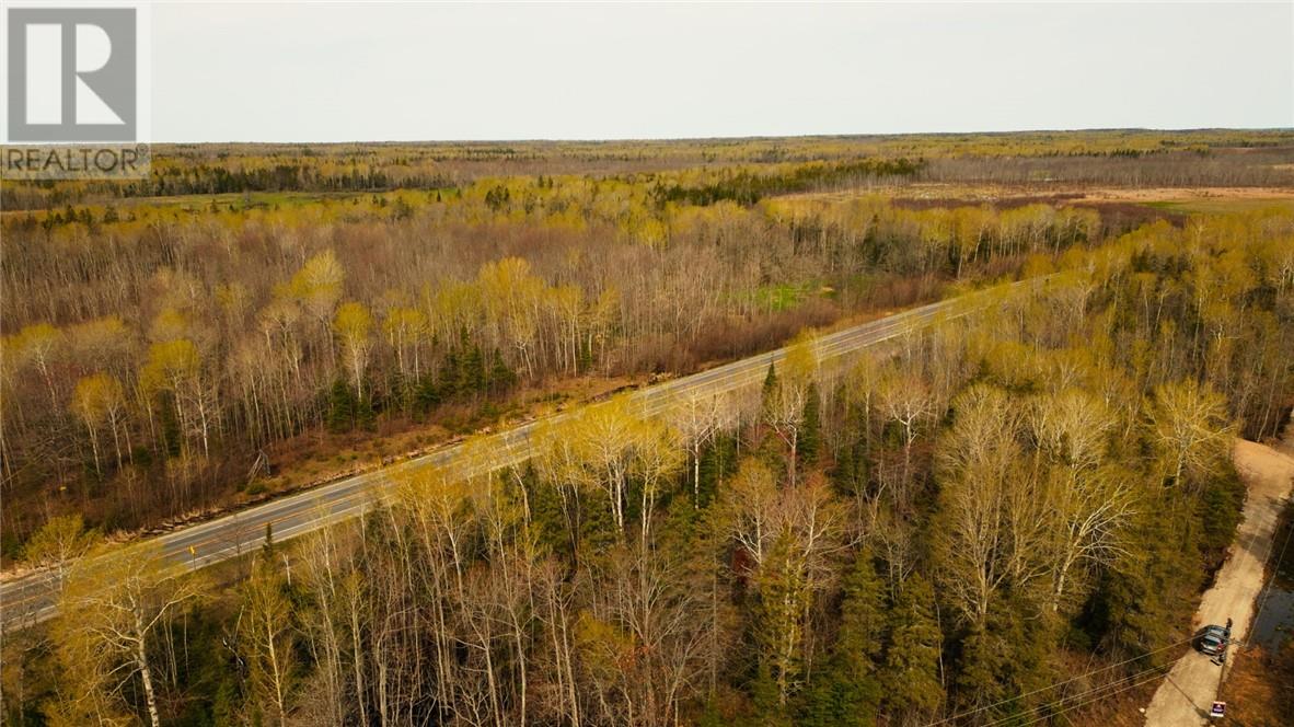 81 High Falls Road, Assiginack, Ontario  P0P 1N0 - Photo 36 - 2126371