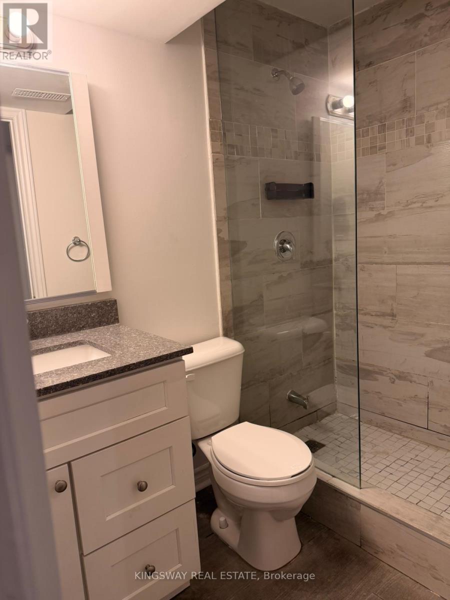 Basement - 243 Pringle Avenue, Milton, Ontario  L9T 7A2 - Photo 12 - W12774138