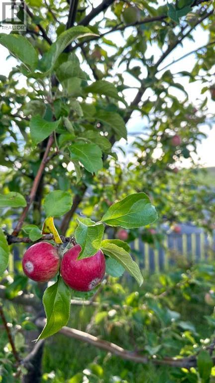 21054 A Range Road 264, Cardston, Alberta  T0K 0K0 - Photo 35 - A2283755