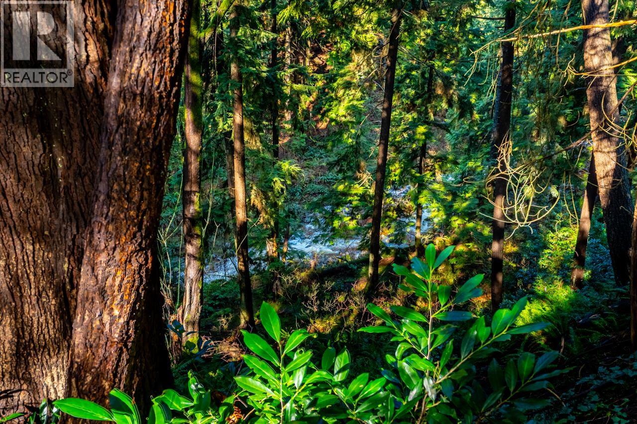 839 Alexander Bay, Port Moody, British Columbia  V3H 3R7 - Photo 20 - R3088270