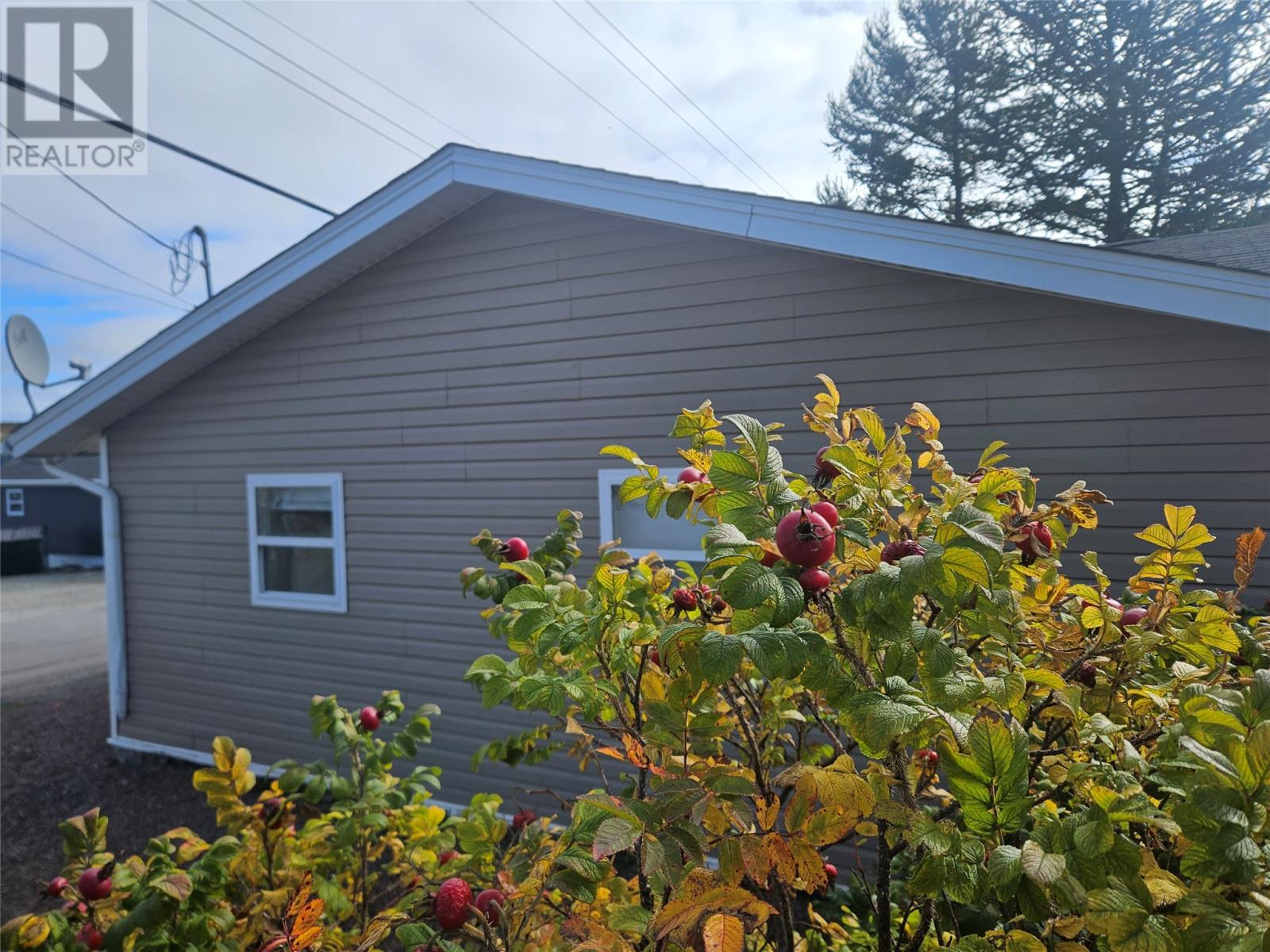 112 Water Street W, St. Lawrence, Newfoundland & Labrador  A0E 2V0 - Photo 3 - 1294414