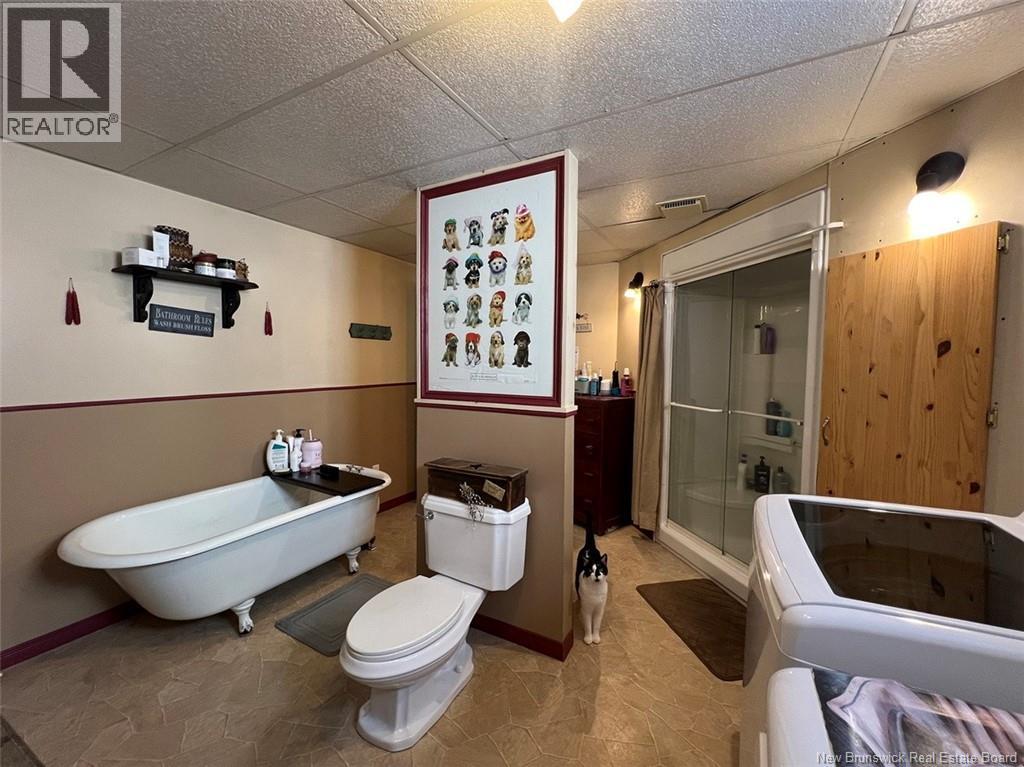 8 Edgar Street, Saint-Basile, New Brunswick  E7C 1N8 - Photo 31 - NB132815