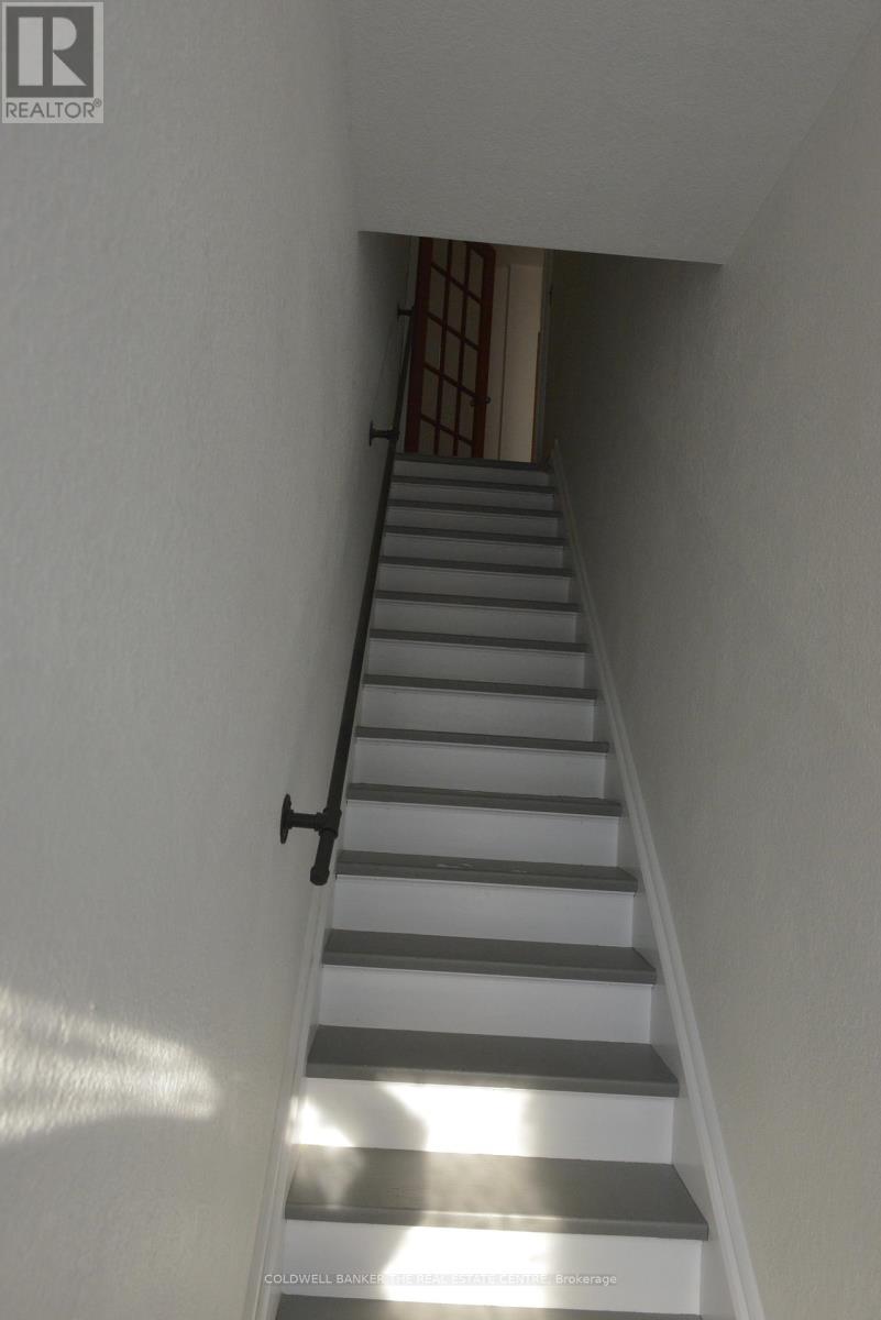 686a The Queensway, Toronto, Ontario  M8Y 1K9 - Photo 4 - W12774368