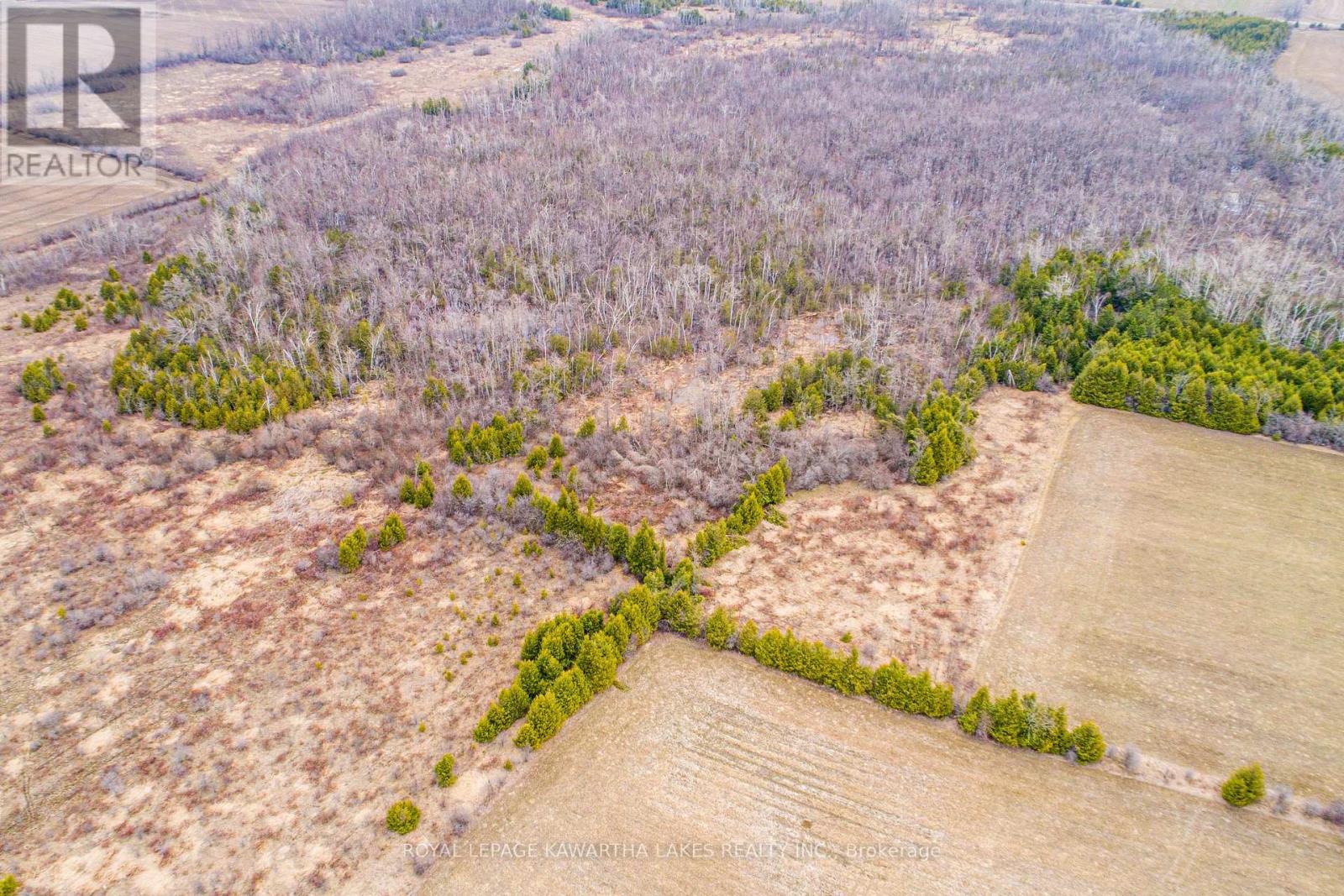 210 Grasshill Road, Kawartha Lakes, Ontario  K0M 2T0 - Photo 5 - X12774542