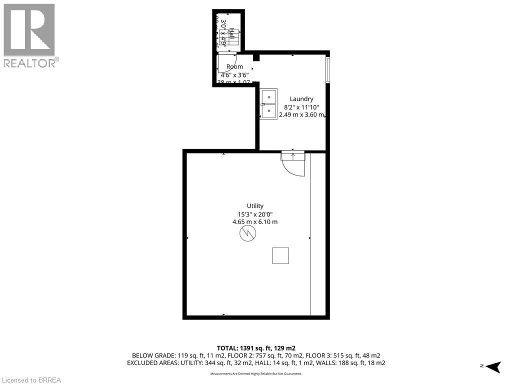 117 Murray Street, Brantford, Ontario  N3S 5P5 - Photo 28 - 40803839