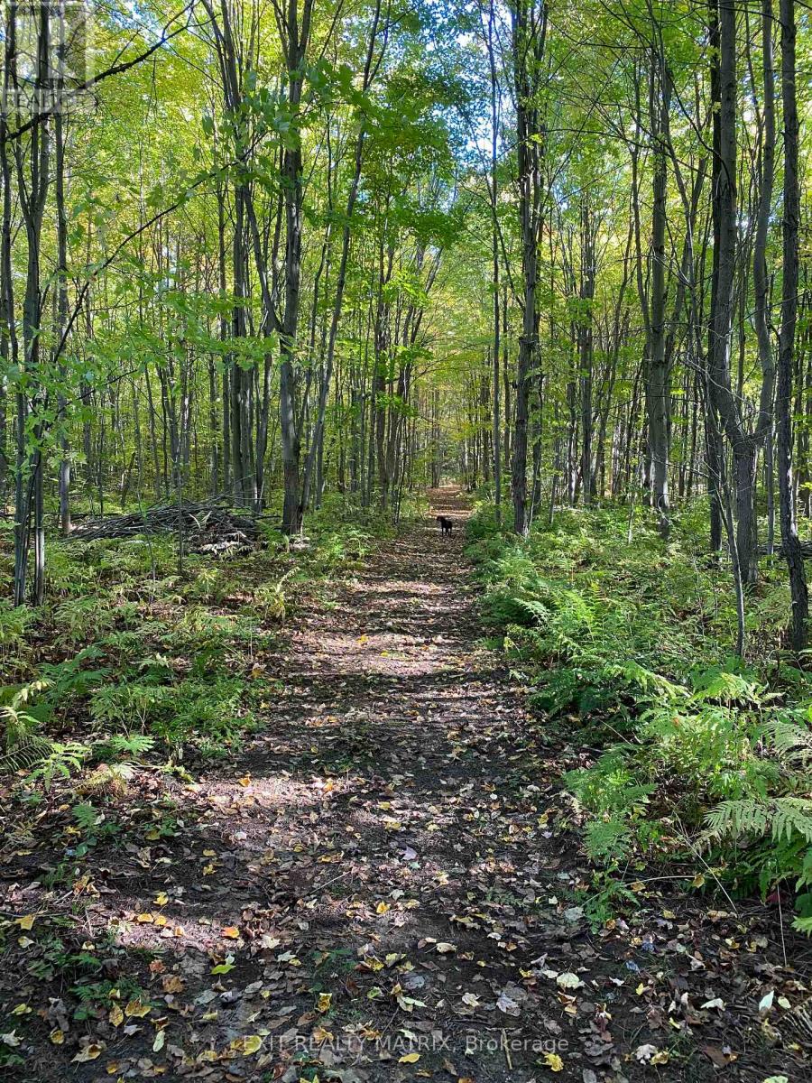 1285 Calypso Street, The Nation, Ontario  K0A 1M0 - Photo 43 - X12774452