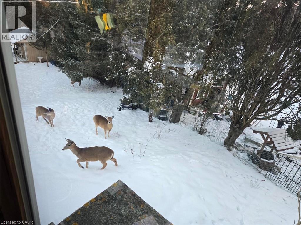 1318 Thorman Drive, Cambridge, Ontario  N3H 1A2 - Photo 7 - 40803384