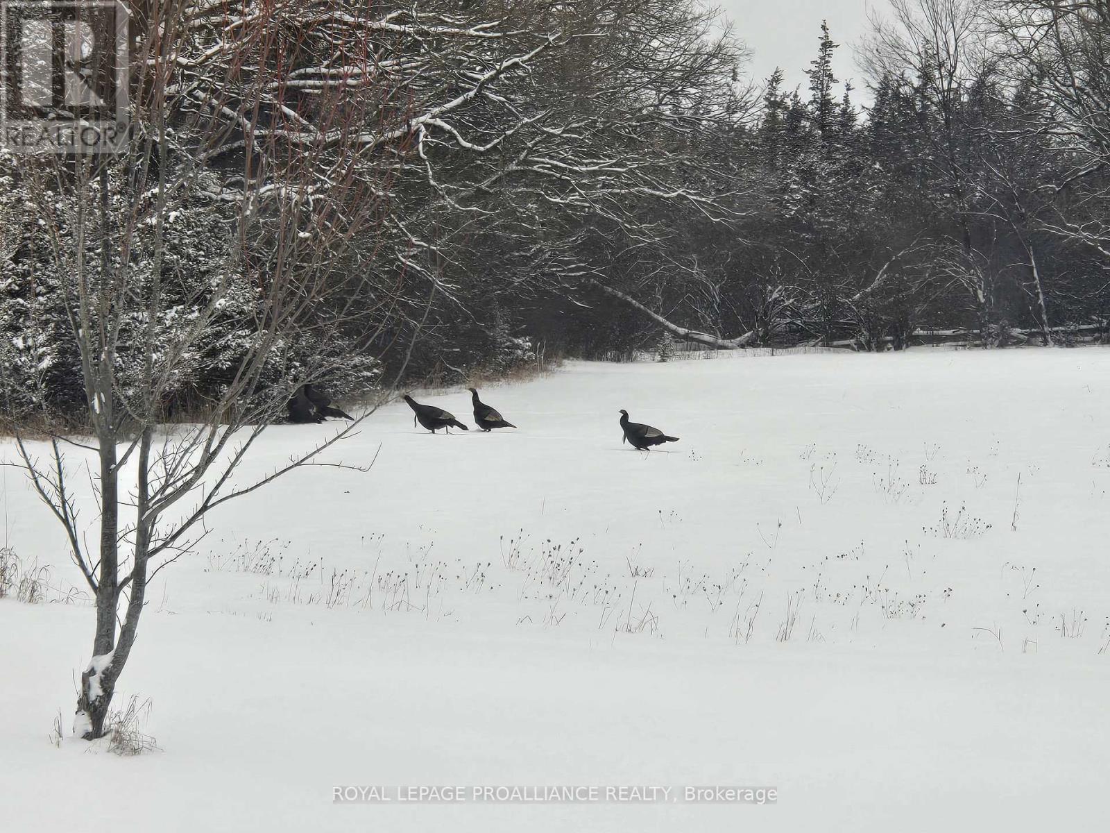 118 Hubbs Road, Prince Edward County (Ameliasburg Ward), Ontario  K0K 1A0 - Photo 22 - X12774598