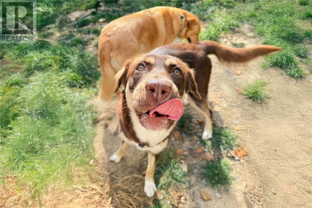 3710 Dill Lake Road Unit# 17, Greater Sudbury, Ontario  P3G 0A5 - Photo 19 - 2126389