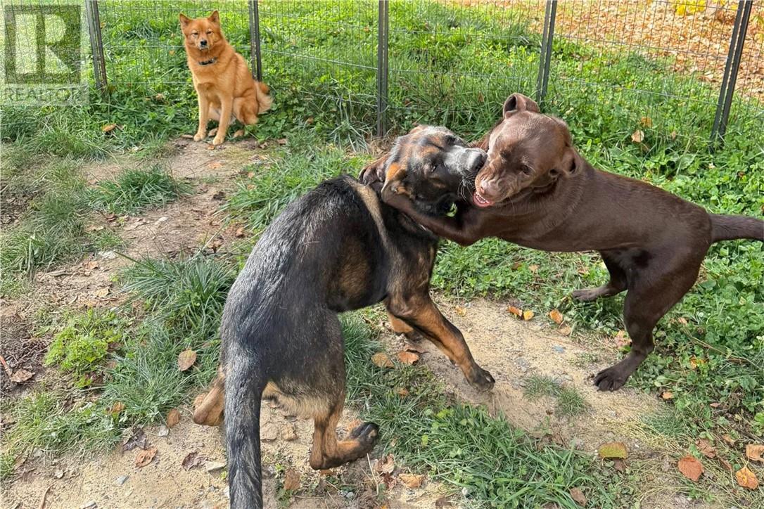 3710 Dill Lake Road Unit# 17, Greater Sudbury, Ontario  P3G 0A5 - Photo 20 - 2126389