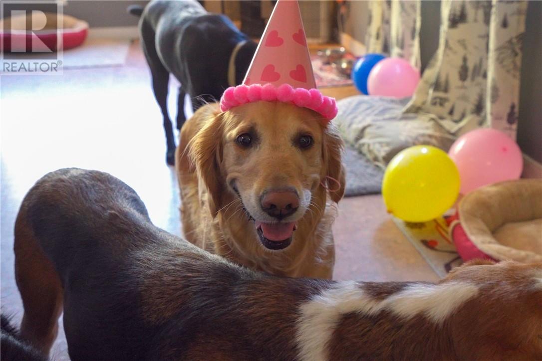 3710 Dill Lake Road Unit# 17, Greater Sudbury, Ontario  P3G 0A5 - Photo 6 - 2126389