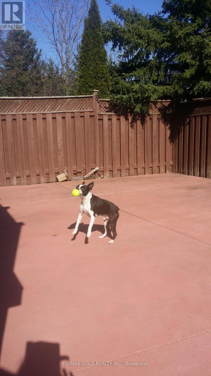 5 Furrows End, Brampton, Ontario  L6Z 4S5 - Photo 48 - W12749150