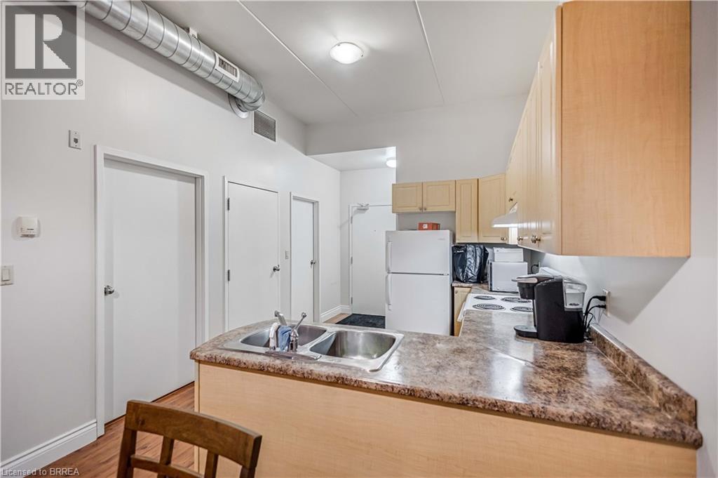 150 Colborne Street Unit# 203, Brantford, Ontario  N3T 2G6 - Photo 3 - 40802690