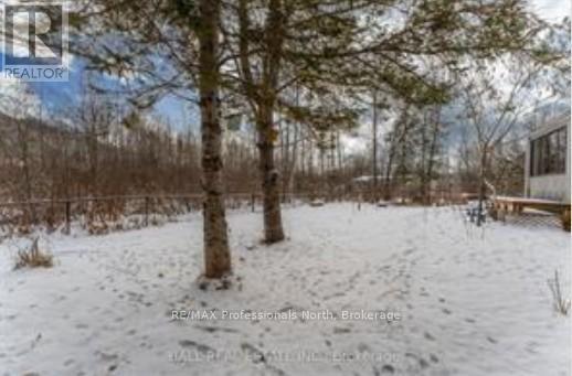 16 Anson Street, Minden Hills, Ontario  K0M 2K0 - Photo 20 - X12775386