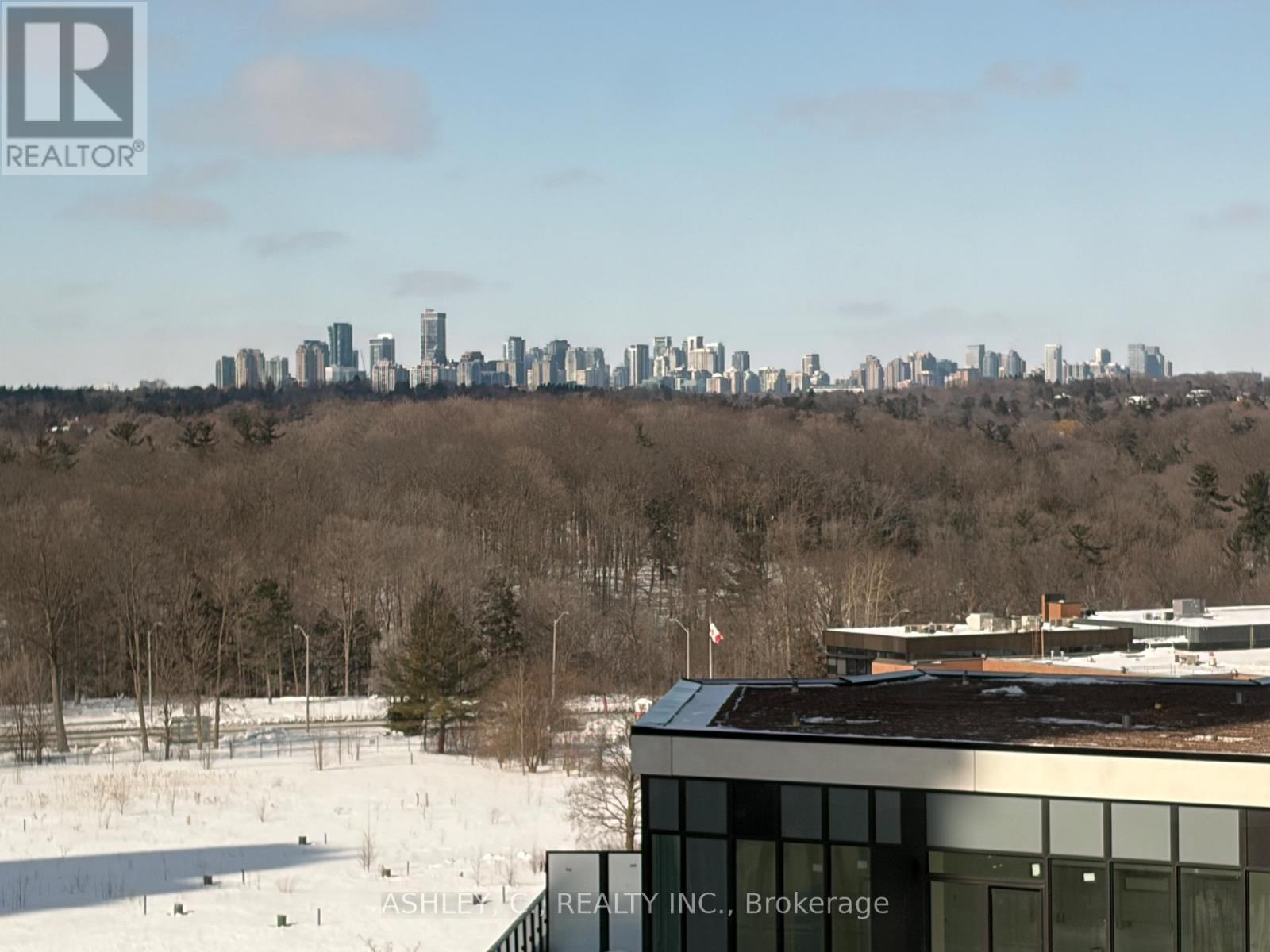 1008 - 1 QUARRINGTON LANE, Toronto, Ontario