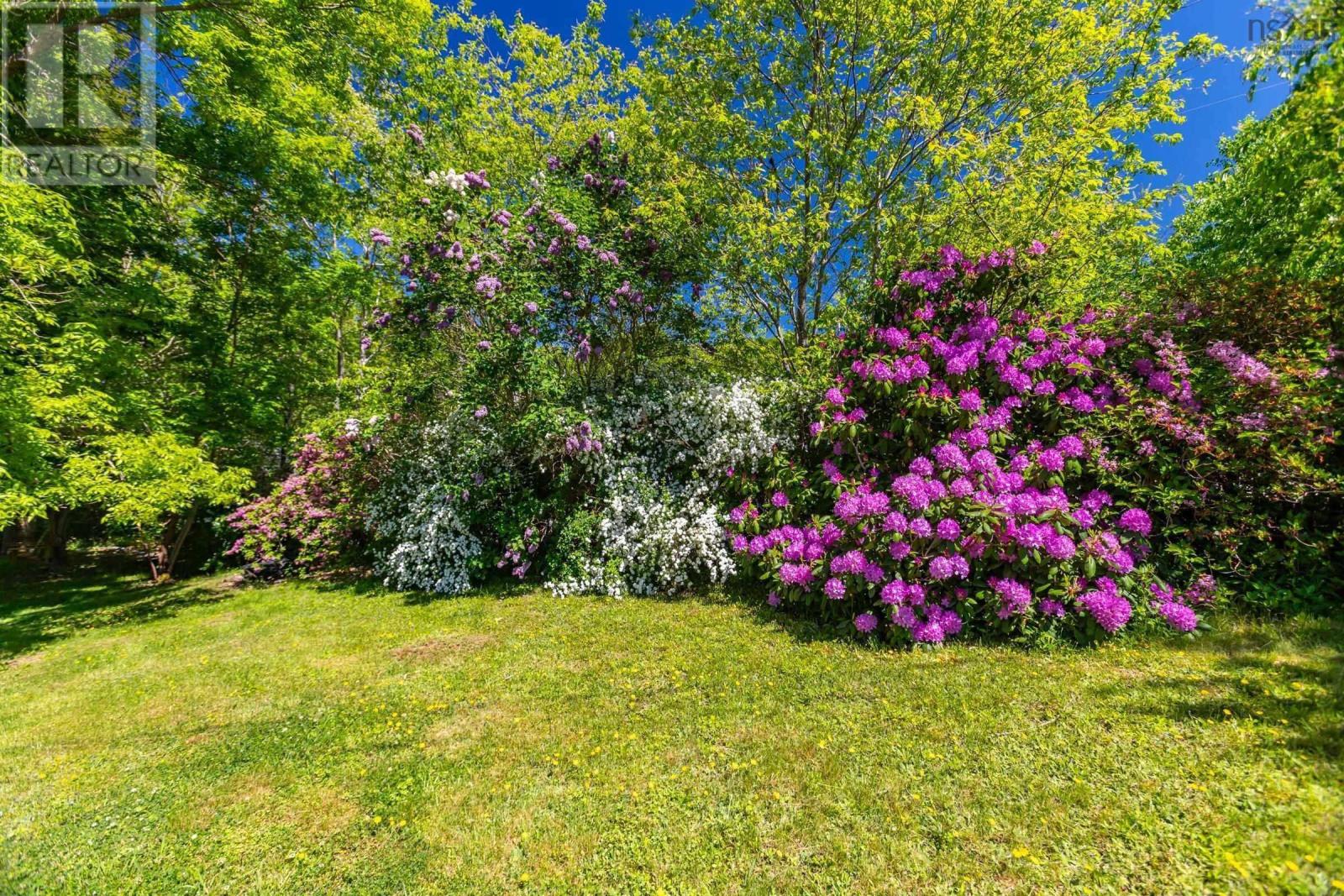 481 Chute Road, Bear River, Nova Scotia  B0S 1B0 - Photo 43 - 202602509