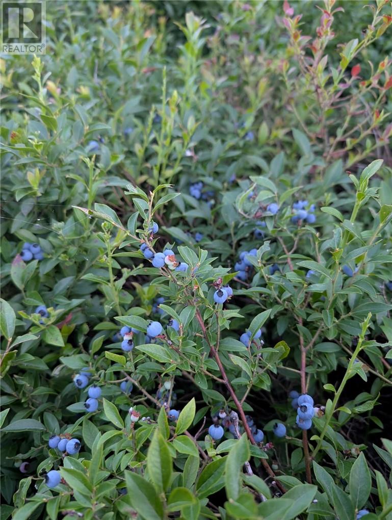 405 Fire Route 3, Val Caron, Ontario  P3N 1L4 - Photo 59 - 2126315