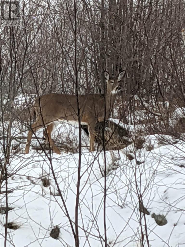 405 Fire Route 3, Val Caron, Ontario  P3N 1L4 - Photo 57 - 2126315