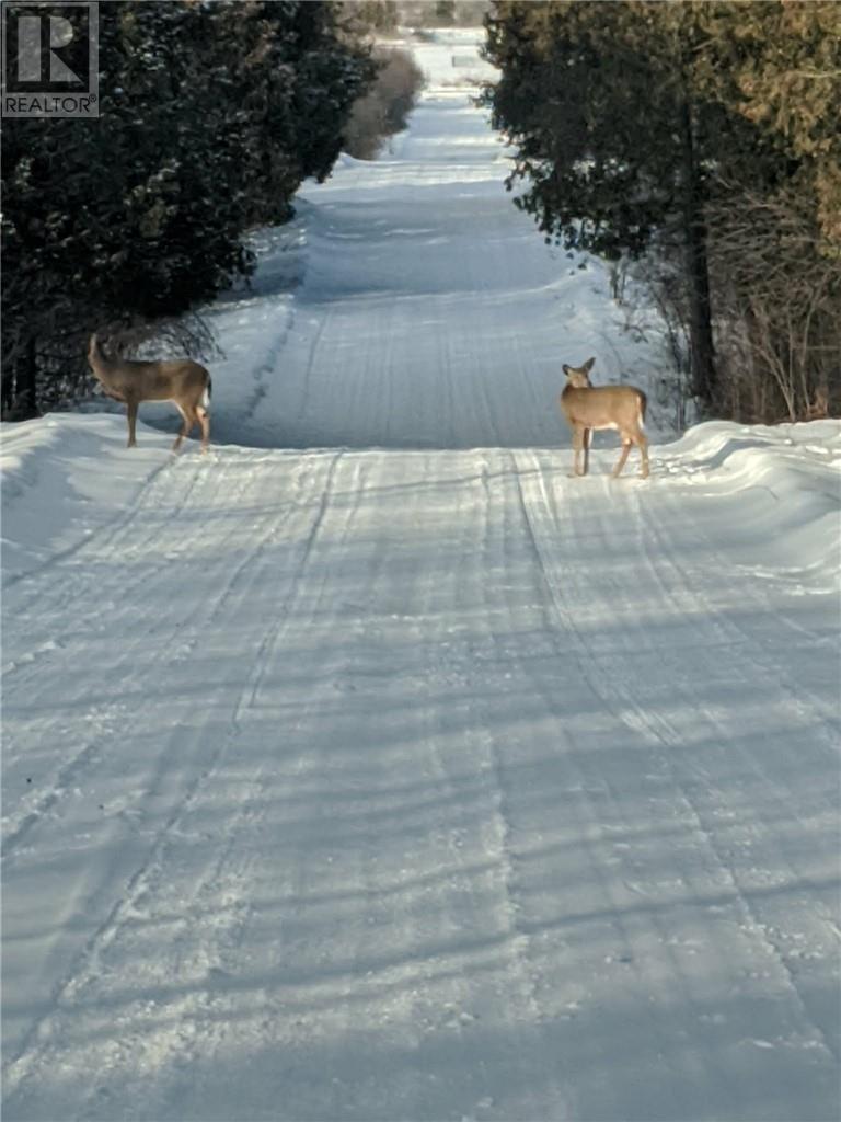 405 Fire Route 3, Val Caron, Ontario  P3N 1L4 - Photo 58 - 2126315