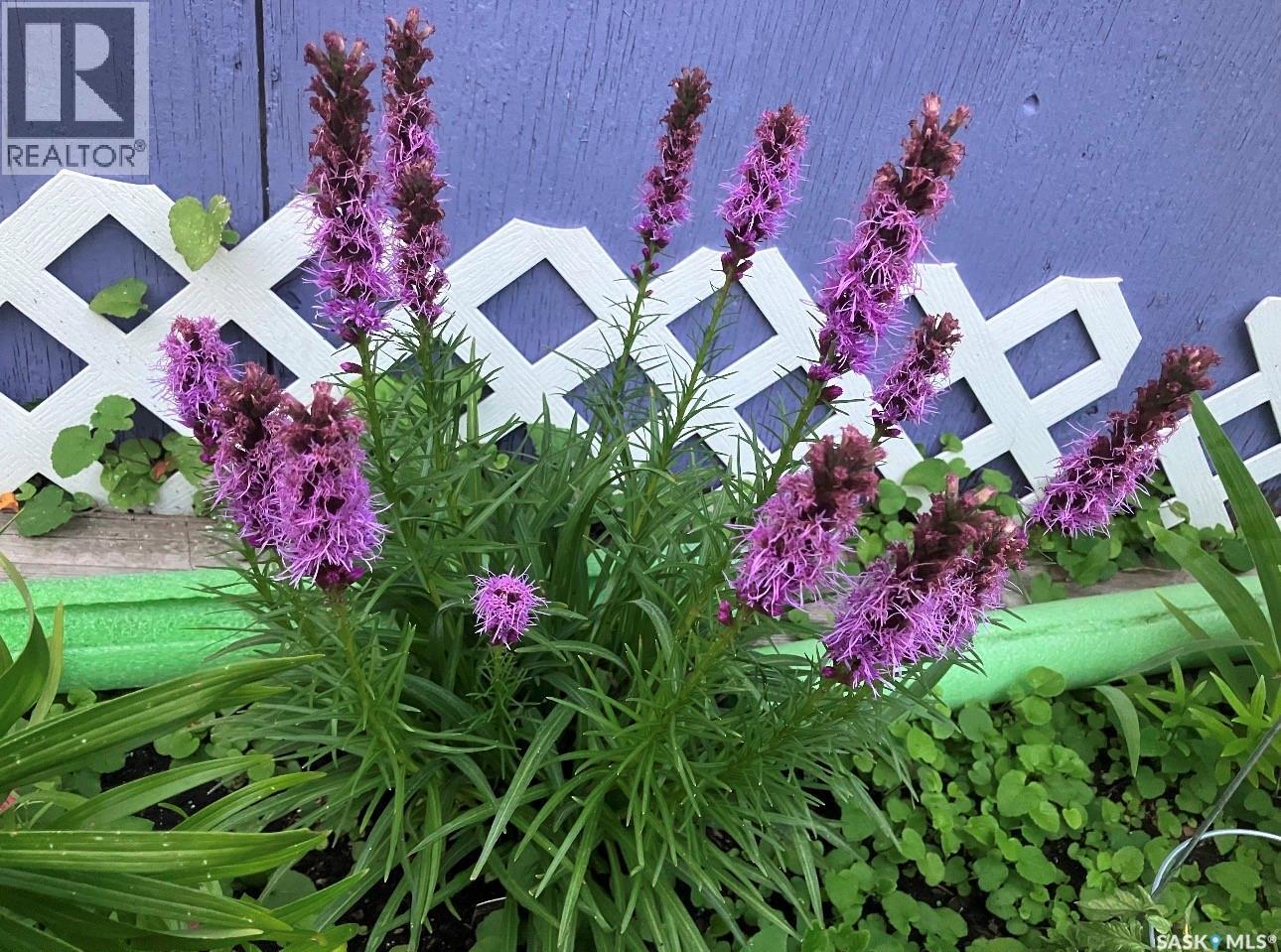 916 4th Avenue N, Saskatoon, Saskatchewan  S7K 2N6 - Photo 50 - SK028216