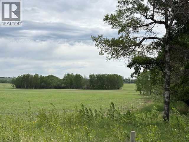 29419 Range Road 45, Rural Mountain View County, Alberta  T0M 2E0 - Photo 7 - A2283560