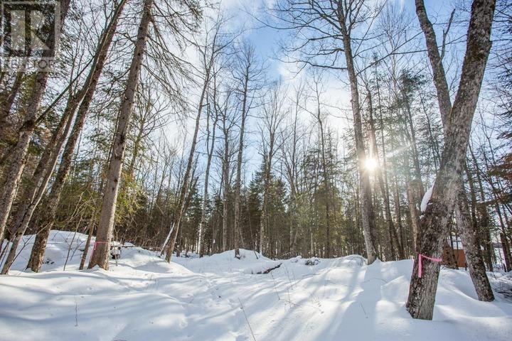 Lot 16 Red Maple Dr, Fire #5139, Hilton Township, Ontario  P0R 1G0 - Photo 11 - SM260272