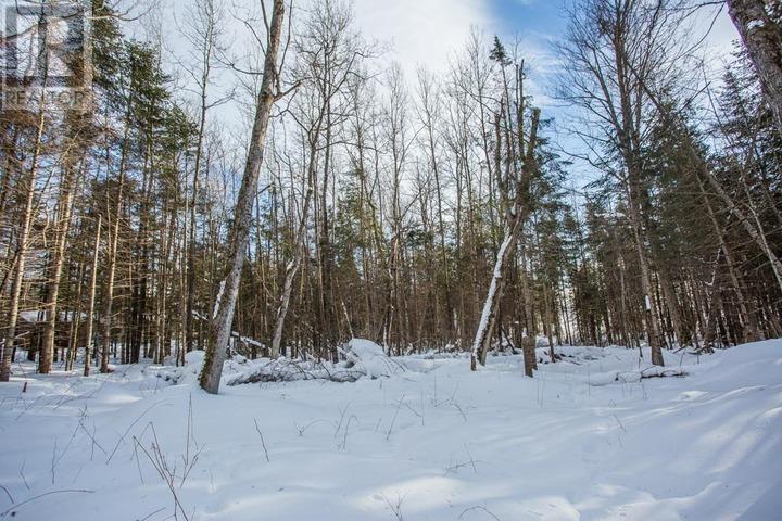 Lot 16 Red Maple Dr, Fire #5139, Hilton Township, Ontario  P0R 1G0 - Photo 12 - SM260272