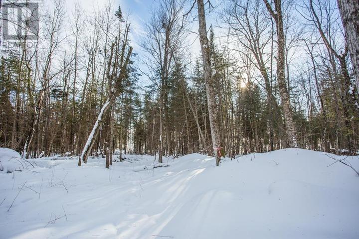 Lot 16 Red Maple Dr, Fire #5139, Hilton Township, Ontario  P0R 1G0 - Photo 13 - SM260272