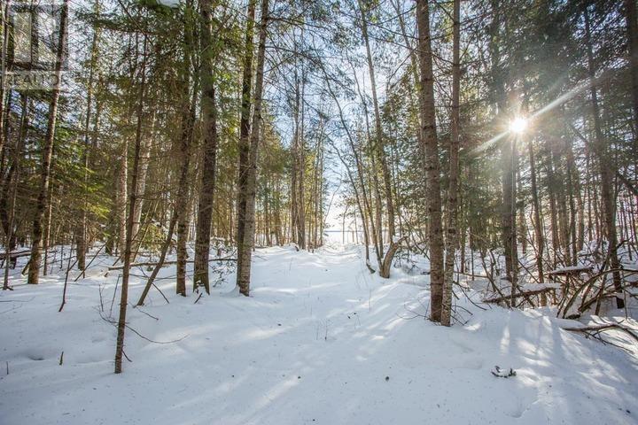 Lot 16 Red Maple Dr, Fire #5139, Hilton Township, Ontario  P0R 1G0 - Photo 16 - SM260272