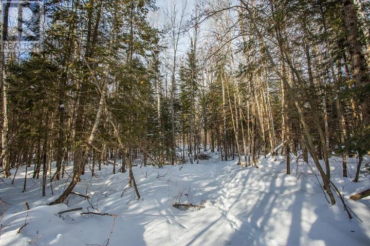 Lot 16 Red Maple Dr, Fire #5139, Hilton Township, Ontario  P0R 1G0 - Photo 22 - SM260272