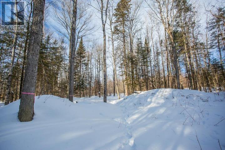 Lot 16 Red Maple Dr, Fire #5139, Hilton Township, Ontario  P0R 1G0 - Photo 24 - SM260272