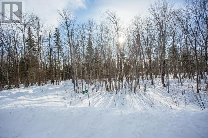 Lot 16 Red Maple Dr, Fire #5139, Hilton Township, Ontario  P0R 1G0 - Photo 7 - SM260272