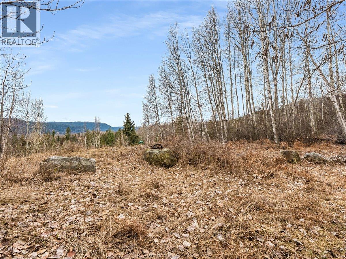 1220 37th Street, Castlegar, British Columbia  V1N 3N1 - Photo 14 - 10375216