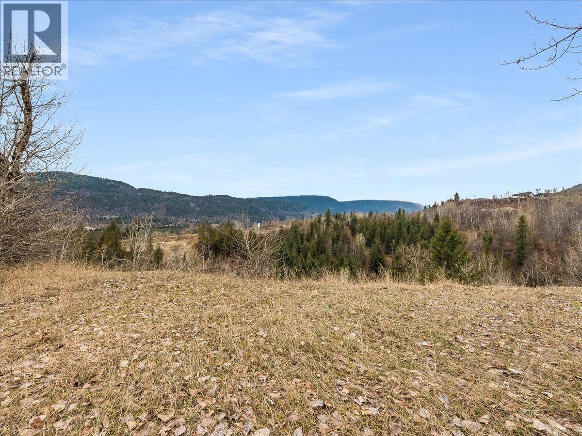 1220 37th Street, Castlegar, British Columbia  V1N 3N1 - Photo 18 - 10375216