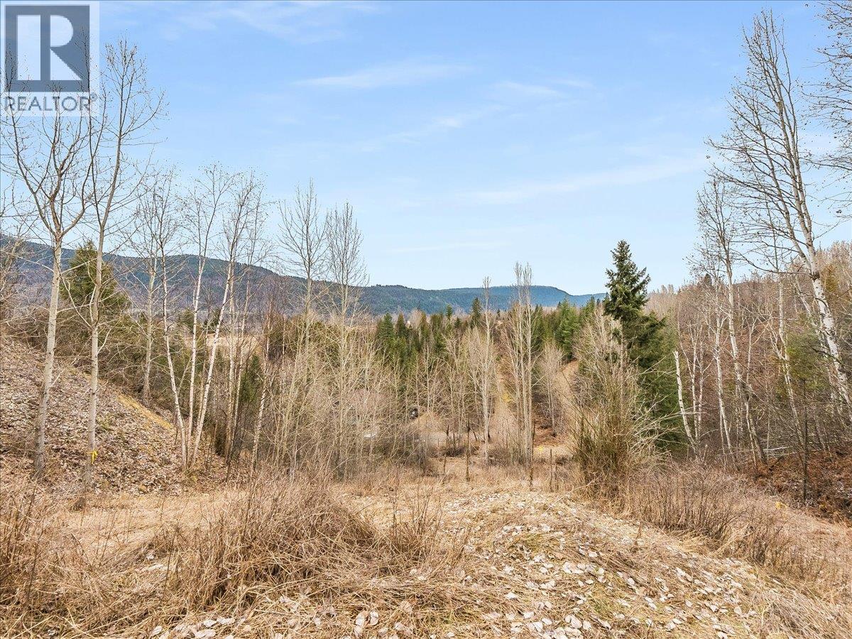 1220 37th Street, Castlegar, British Columbia  V1N 3N1 - Photo 19 - 10375216