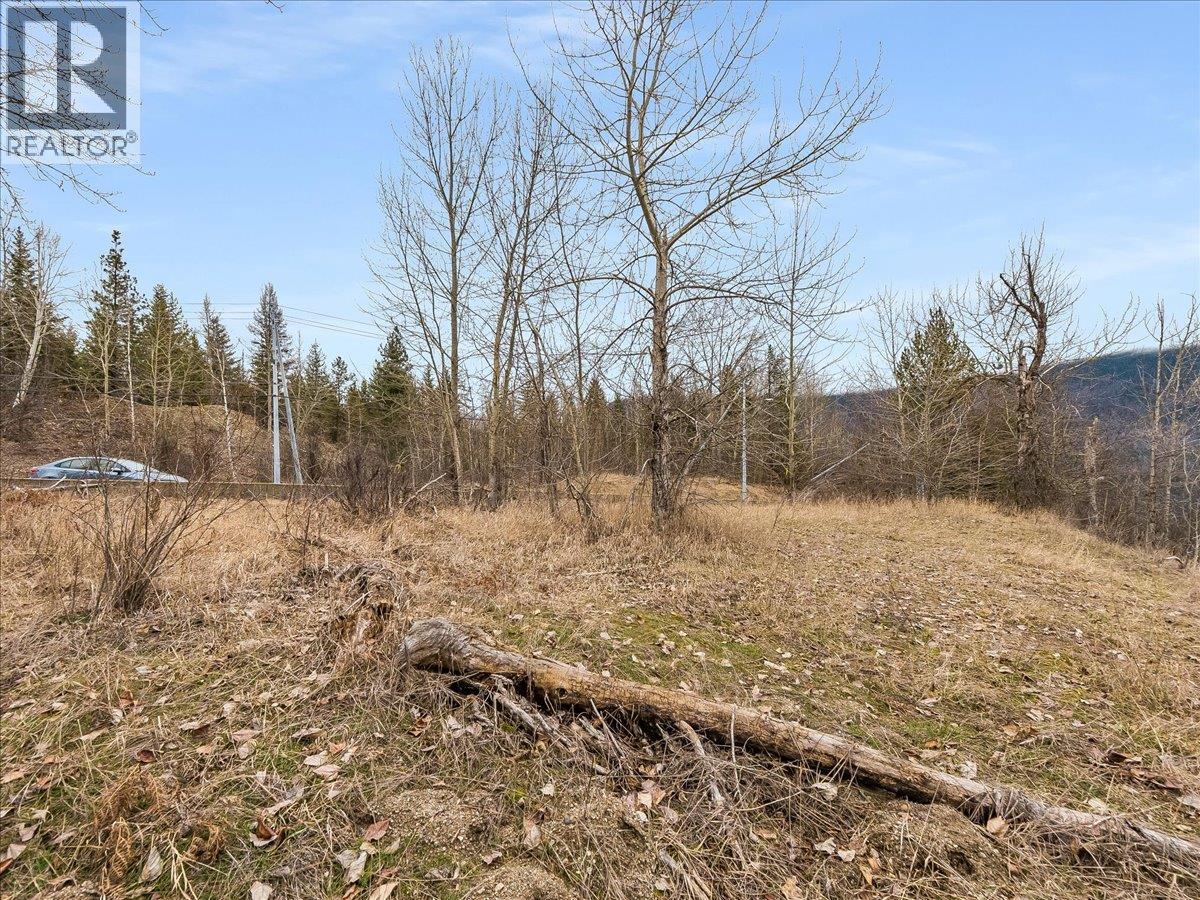 1220 37th Street, Castlegar, British Columbia  V1N 3N1 - Photo 6 - 10375216