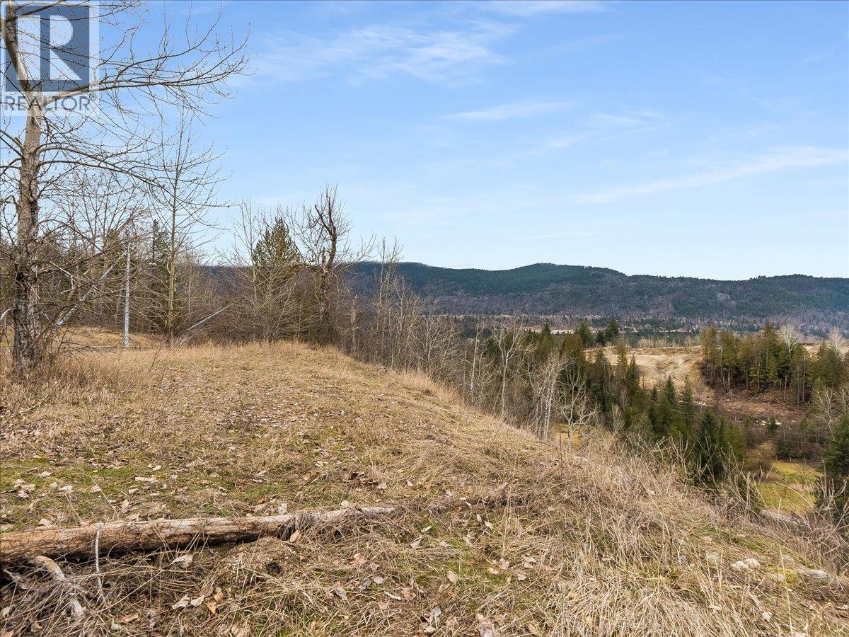 1220 37th Street, Castlegar, British Columbia  V1N 3N1 - Photo 7 - 10375216