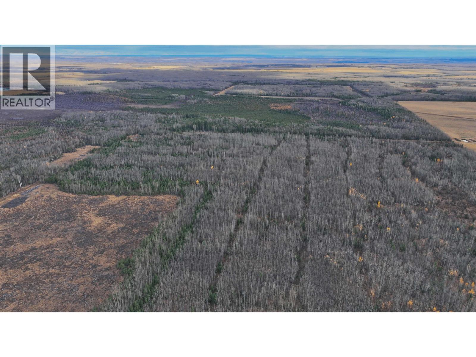 17537 Prespatou Road, Fort St. John, British Columbia  V0C 1Y0 - Photo 5 - C8076039