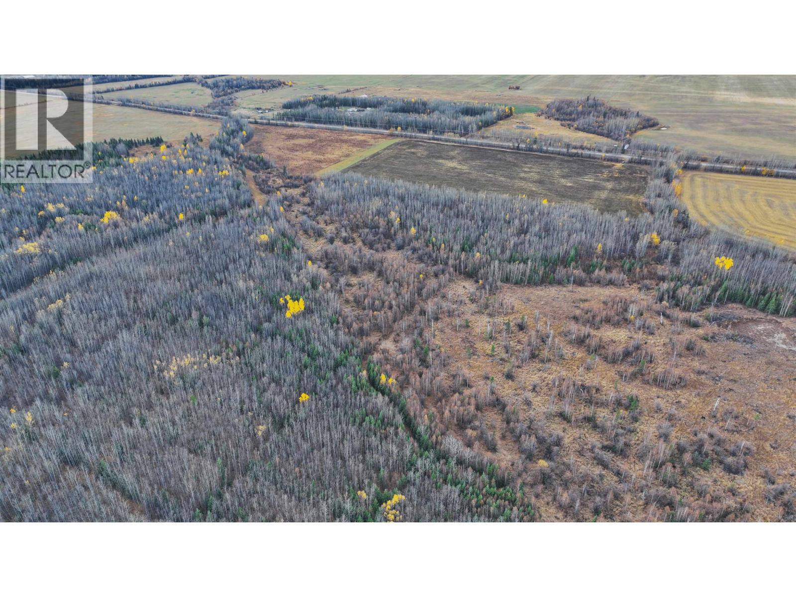 17537 Prespatou Road, Fort St. John, British Columbia  V0C 1Y0 - Photo 4 - C8076039