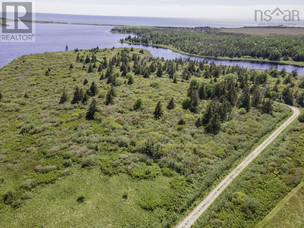Lot 4 Talala Drive, Beaver River, Nova Scotia  B5A 5A5 - Photo 13 - 202602515