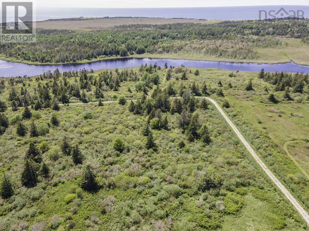 Lot 4 Talala Drive, Beaver River, Nova Scotia  B5A 5A5 - Photo 4 - 202602515