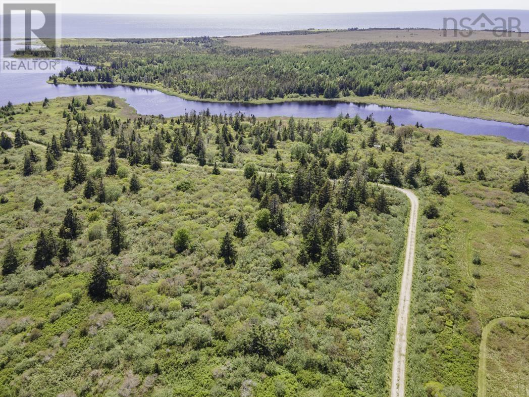 Lot 4 Talala Drive, Beaver River, Nova Scotia  B5A 5A5 - Photo 5 - 202602515