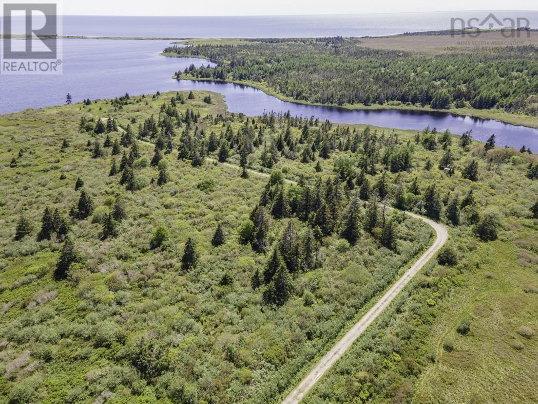 Lot 4 Talala Drive, Beaver River, Nova Scotia  B5A 5A5 - Photo 6 - 202602515