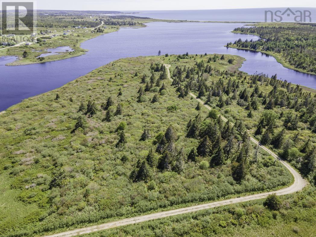 Lot 4 Talala Drive, Beaver River, Nova Scotia  B5A 5A5 - Photo 7 - 202602515